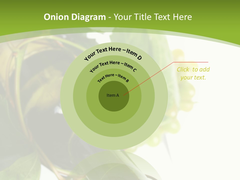 Spiral Grow Winery PowerPoint Template