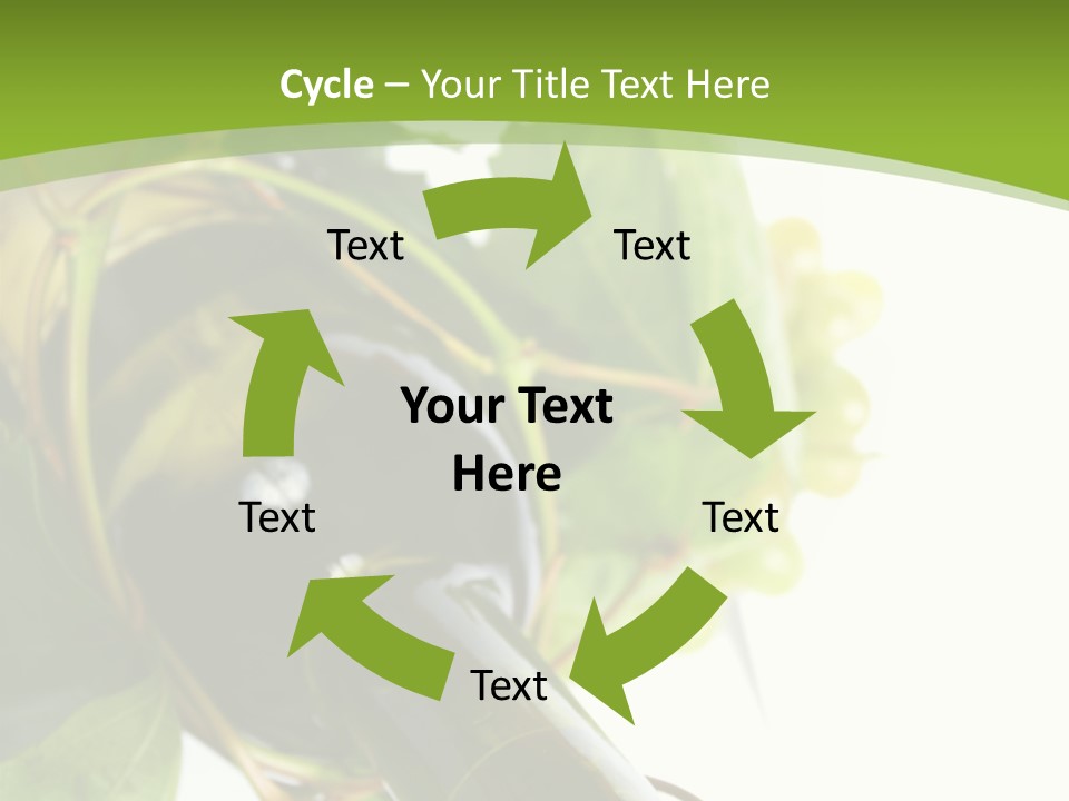 Spiral Grow Winery PowerPoint Template