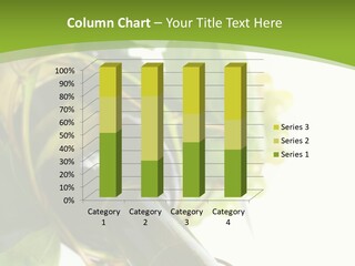 Spiral Grow Winery PowerPoint Template