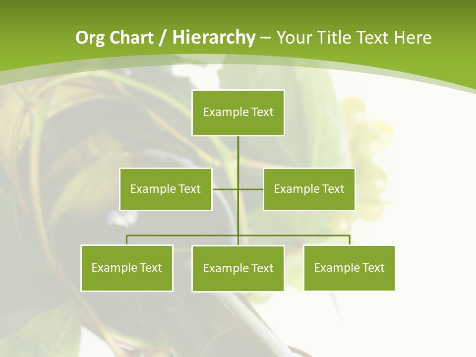 Spiral Grow Winery PowerPoint Template