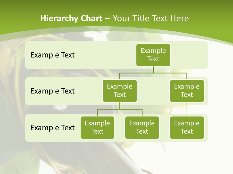 Spiral Grow Winery PowerPoint Template