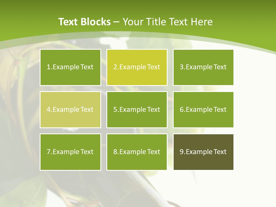 Spiral Grow Winery PowerPoint Template