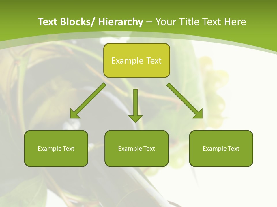 Spiral Grow Winery PowerPoint Template