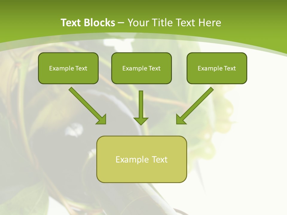 Spiral Grow Winery PowerPoint Template