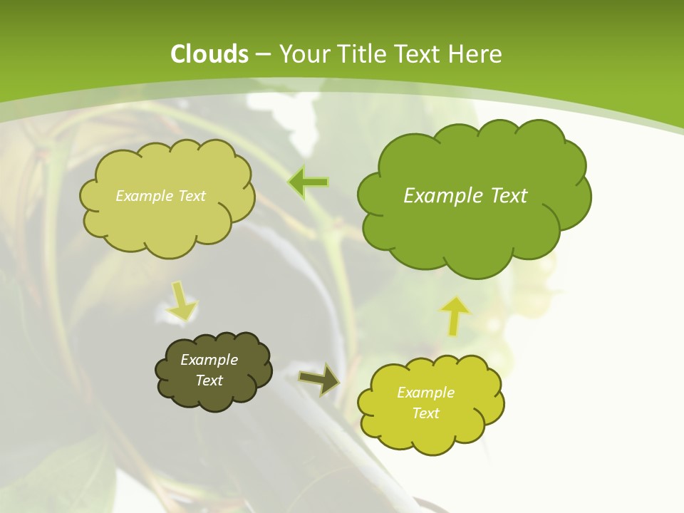 Spiral Grow Winery PowerPoint Template