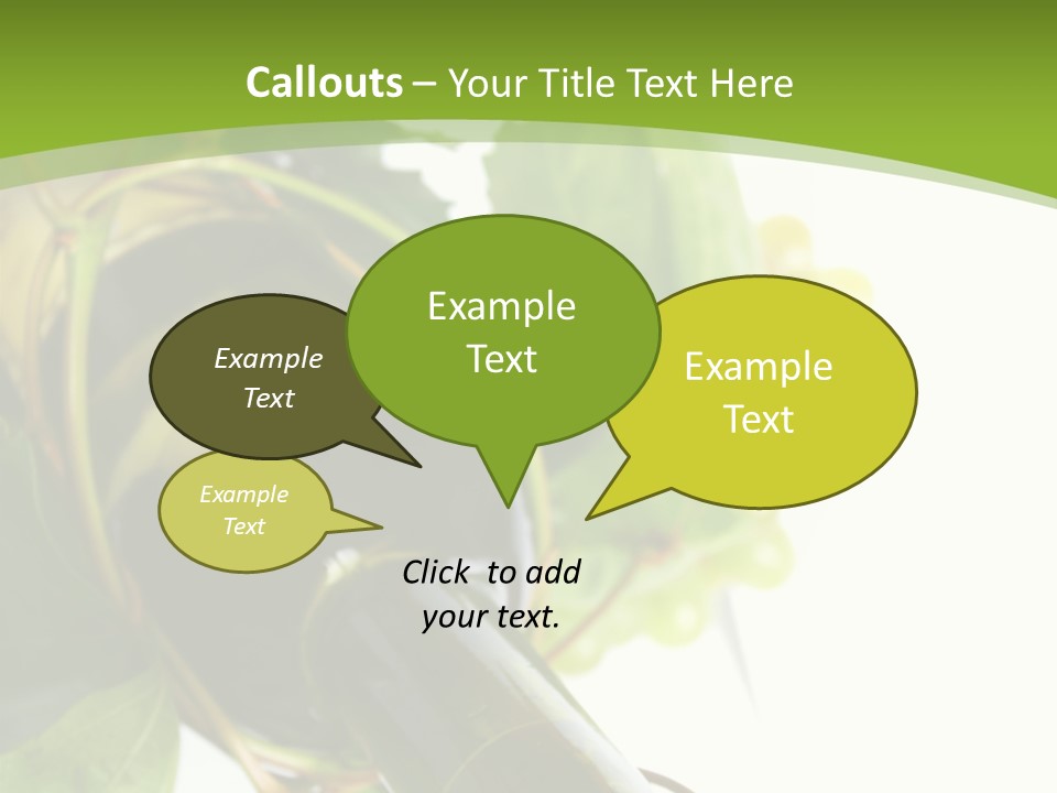 Spiral Grow Winery PowerPoint Template