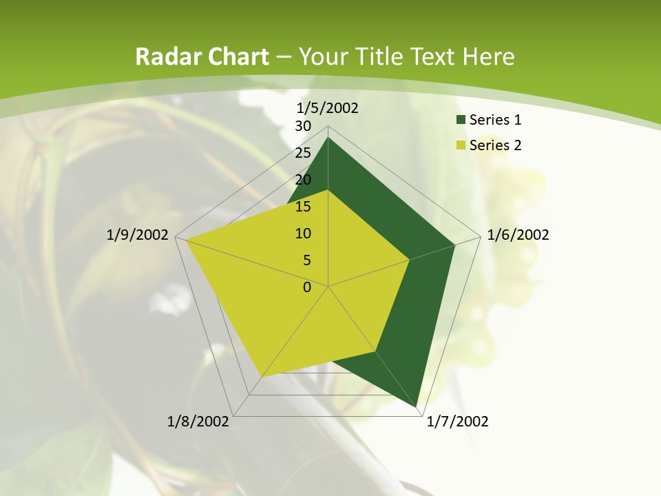 Spiral Grow Winery PowerPoint Template