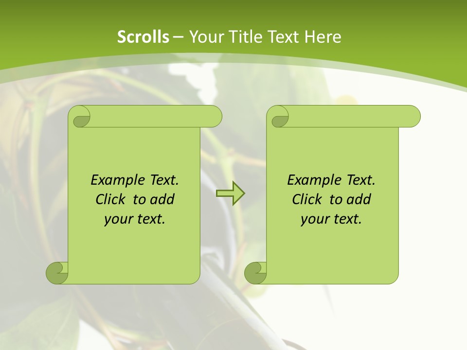 Spiral Grow Winery PowerPoint Template