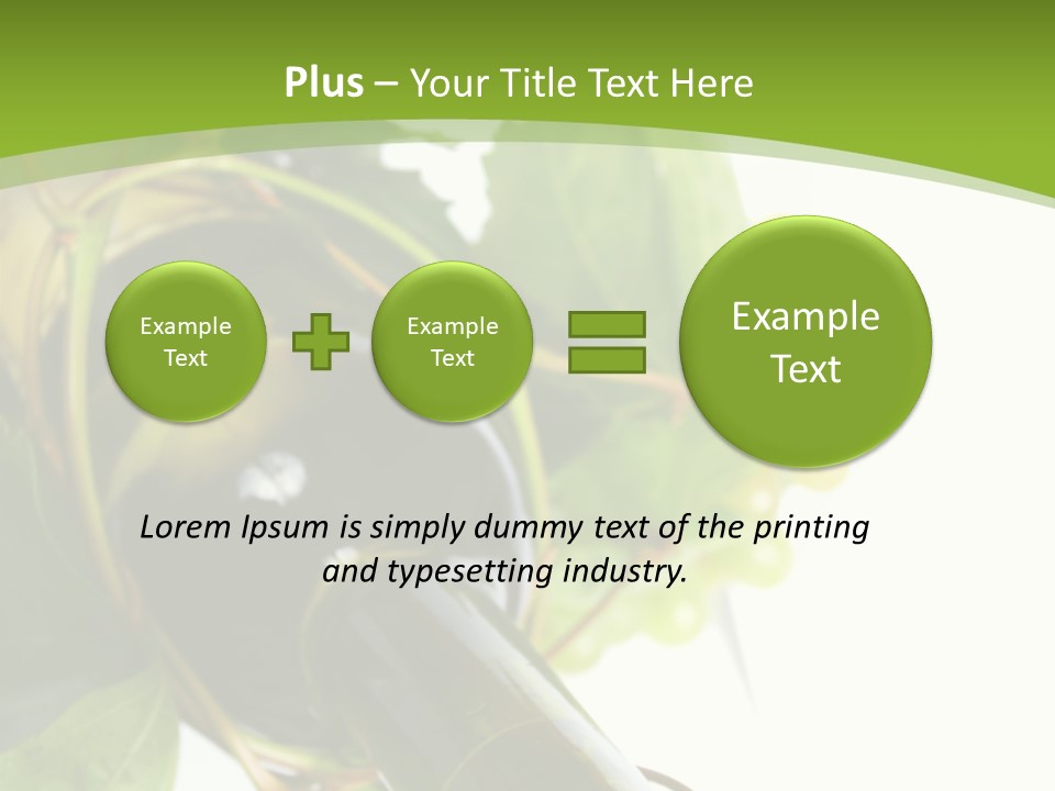 Spiral Grow Winery PowerPoint Template