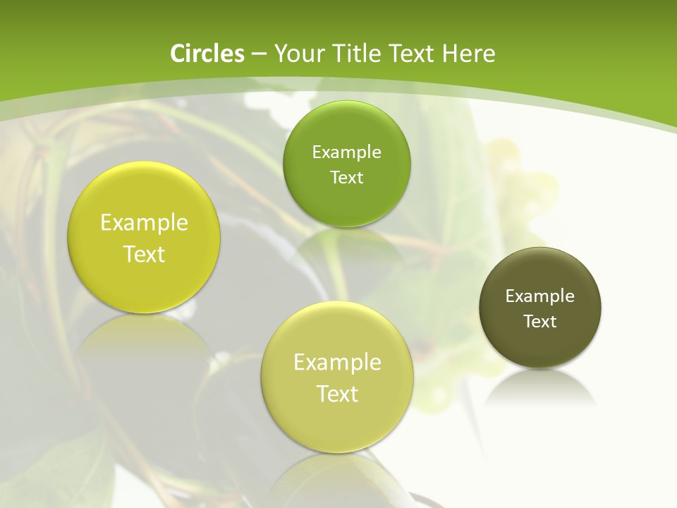 Spiral Grow Winery PowerPoint Template