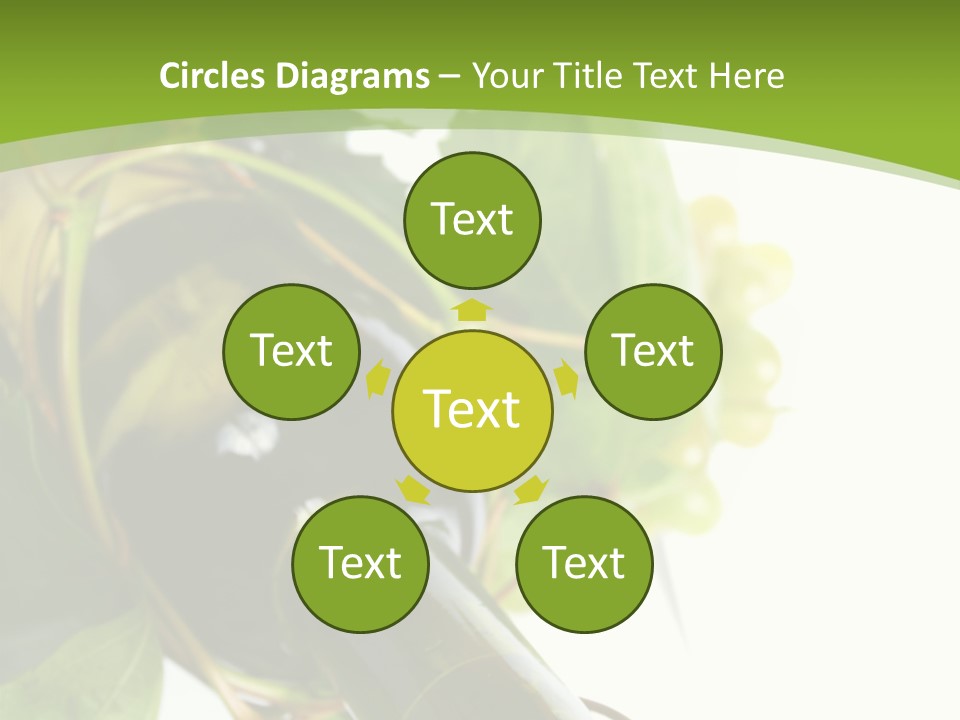 Spiral Grow Winery PowerPoint Template