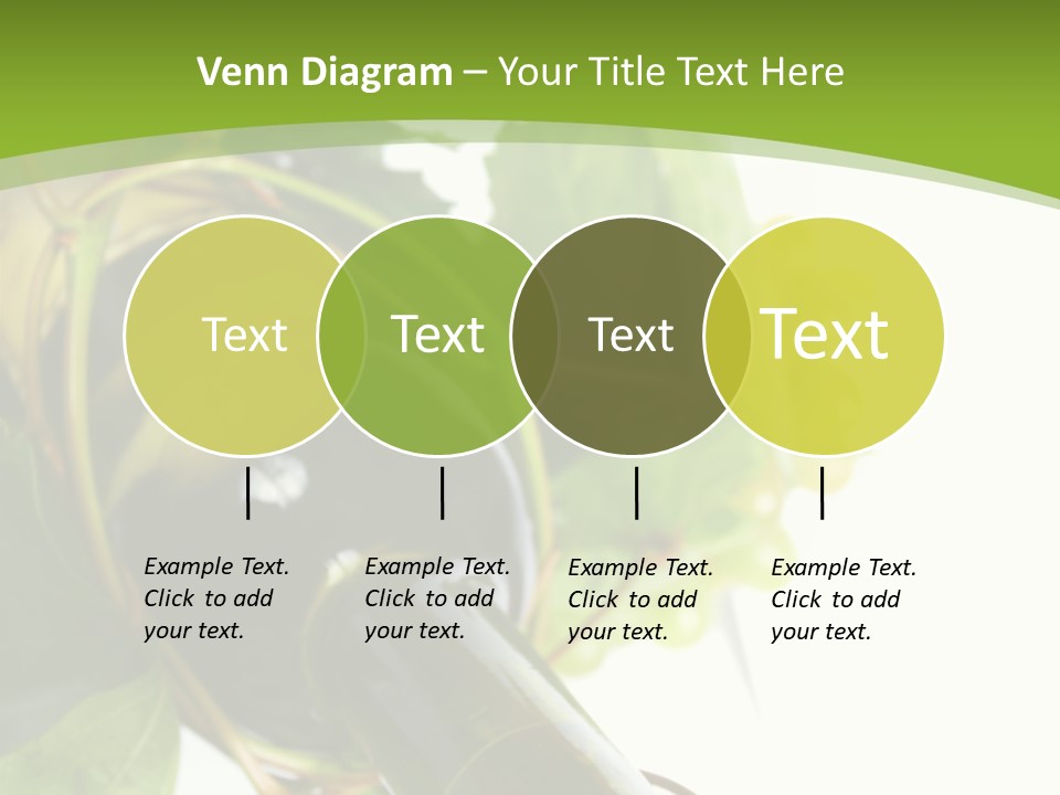 Spiral Grow Winery PowerPoint Template