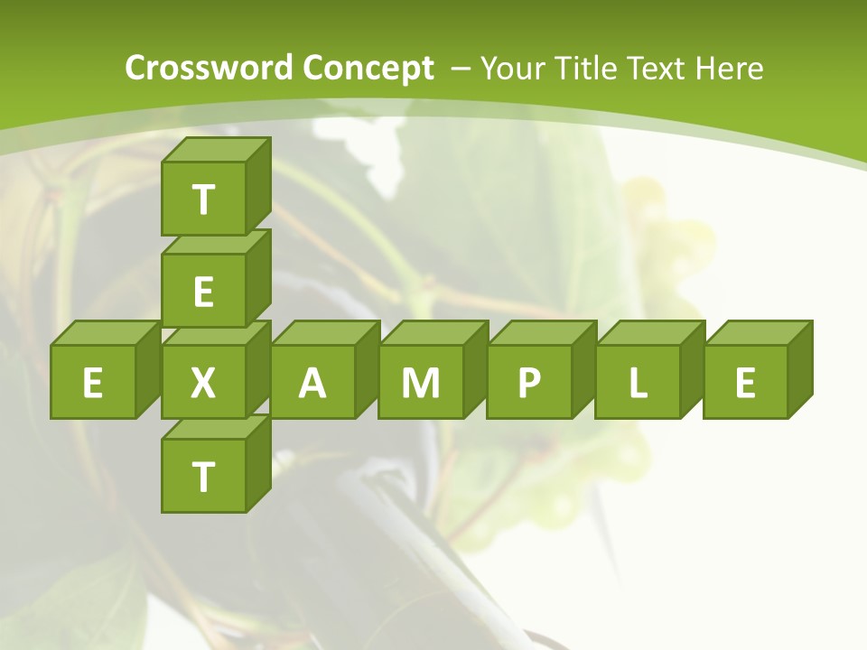 Spiral Grow Winery PowerPoint Template