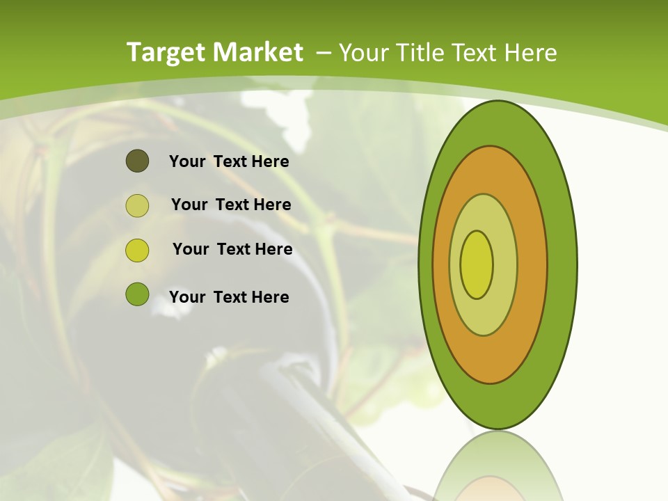 Spiral Grow Winery PowerPoint Template