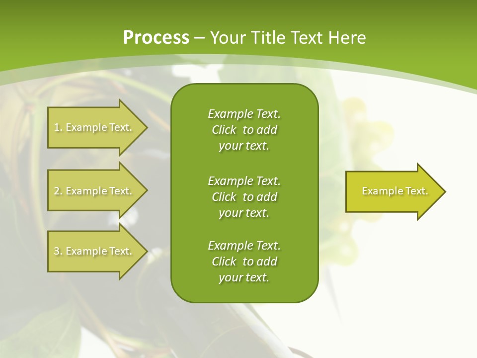 Spiral Grow Winery PowerPoint Template