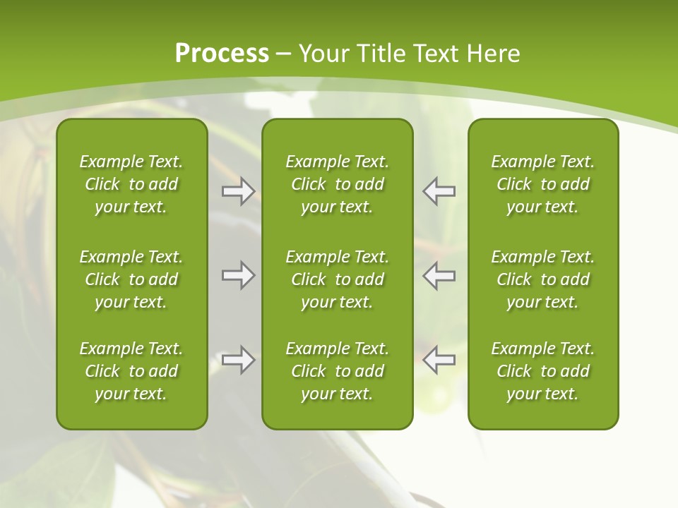 Spiral Grow Winery PowerPoint Template