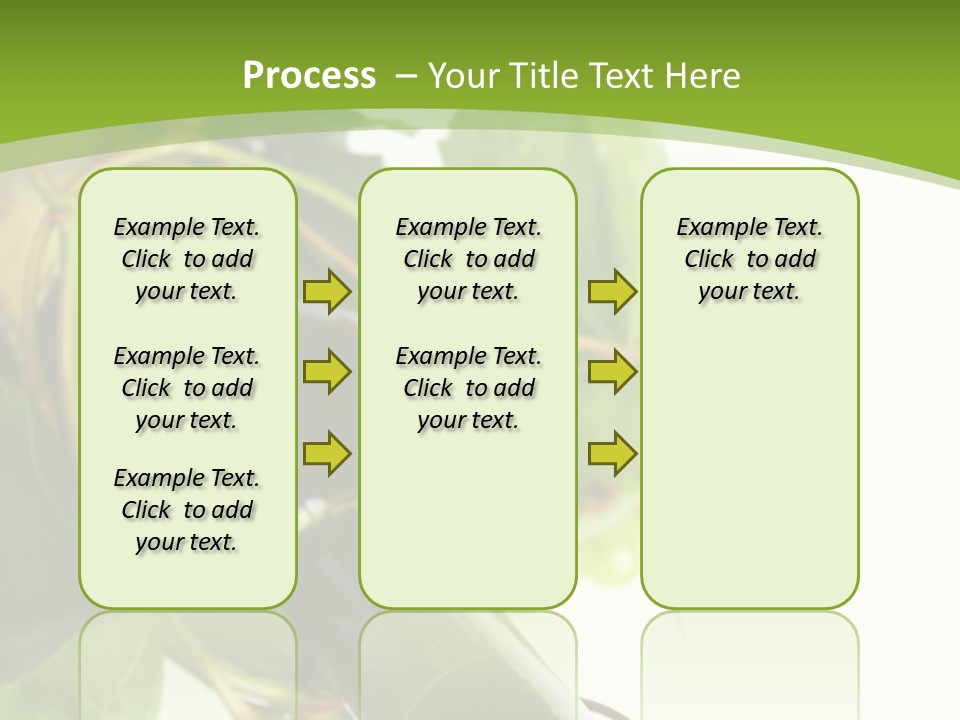Spiral Grow Winery PowerPoint Template