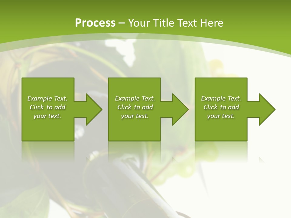 Spiral Grow Winery PowerPoint Template
