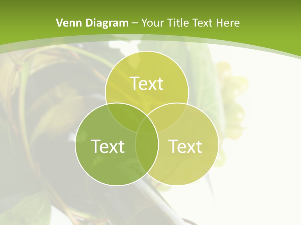 Spiral Grow Winery PowerPoint Template