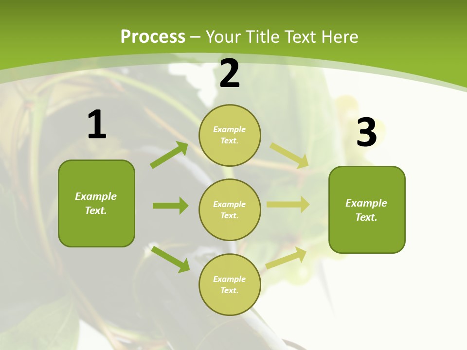 Spiral Grow Winery PowerPoint Template