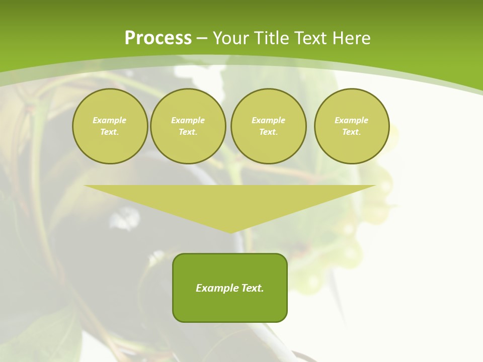 Spiral Grow Winery PowerPoint Template