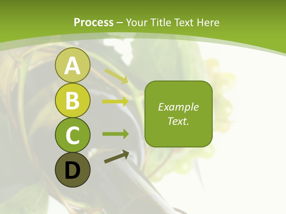 Spiral Grow Winery PowerPoint Template