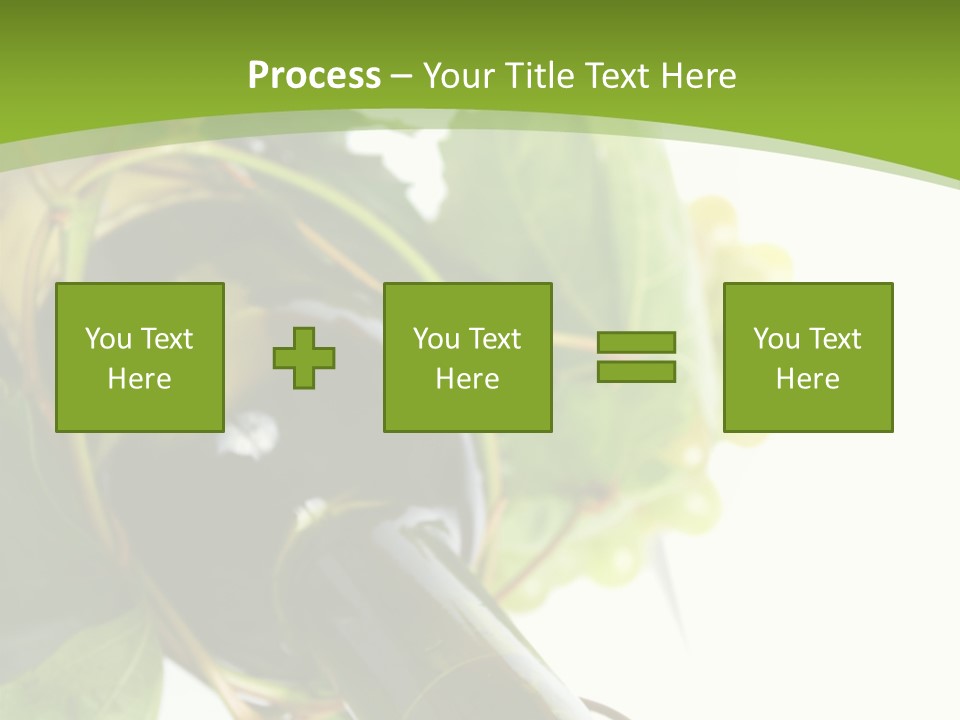 Spiral Grow Winery PowerPoint Template