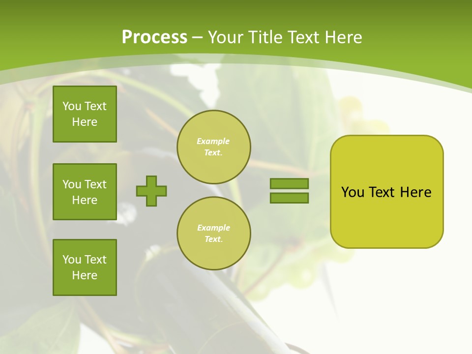 Spiral Grow Winery PowerPoint Template