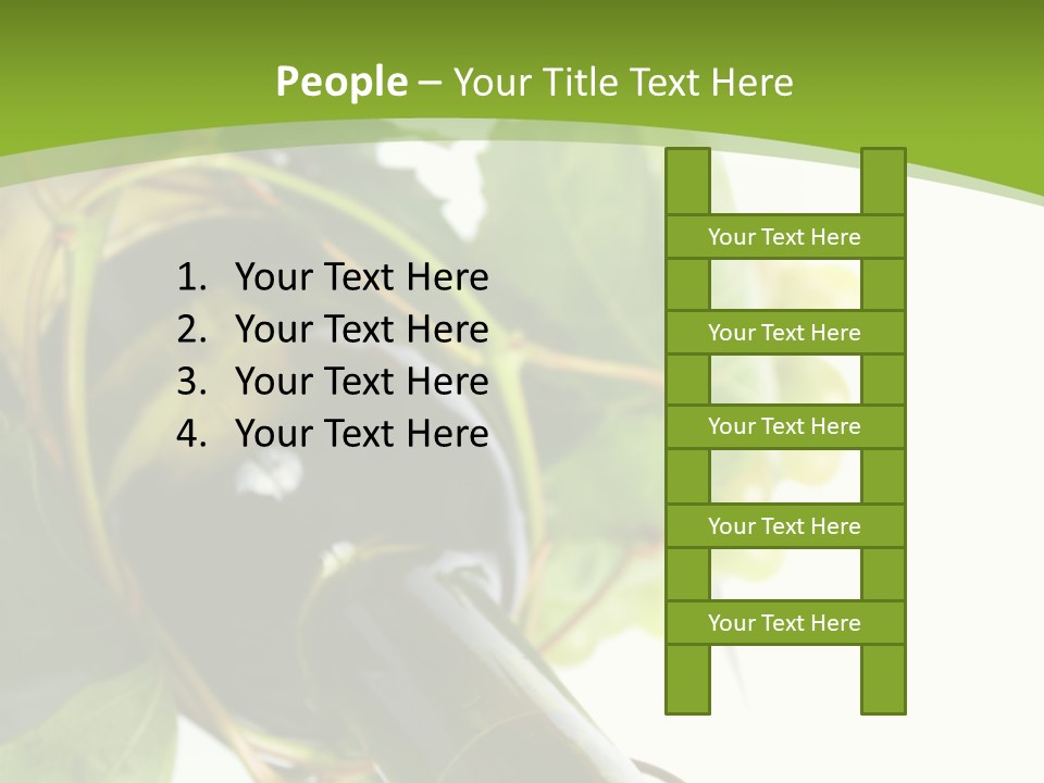 Spiral Grow Winery PowerPoint Template