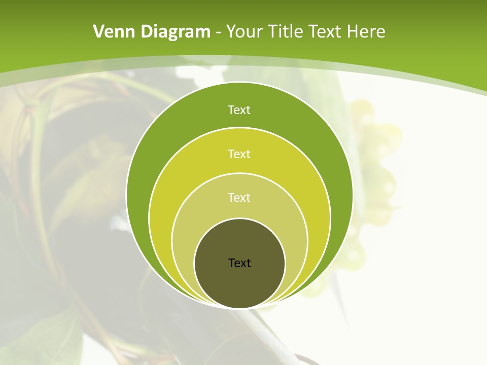 Spiral Grow Winery PowerPoint Template