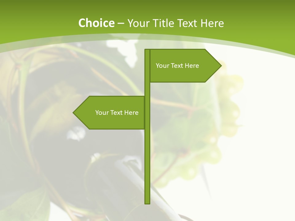 Spiral Grow Winery PowerPoint Template