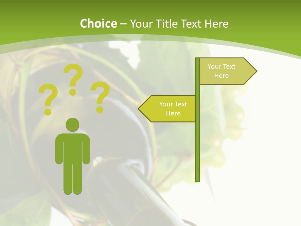 Spiral Grow Winery PowerPoint Template