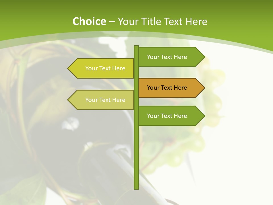 Spiral Grow Winery PowerPoint Template