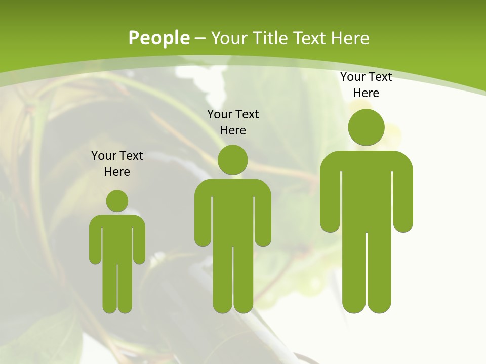 Spiral Grow Winery PowerPoint Template