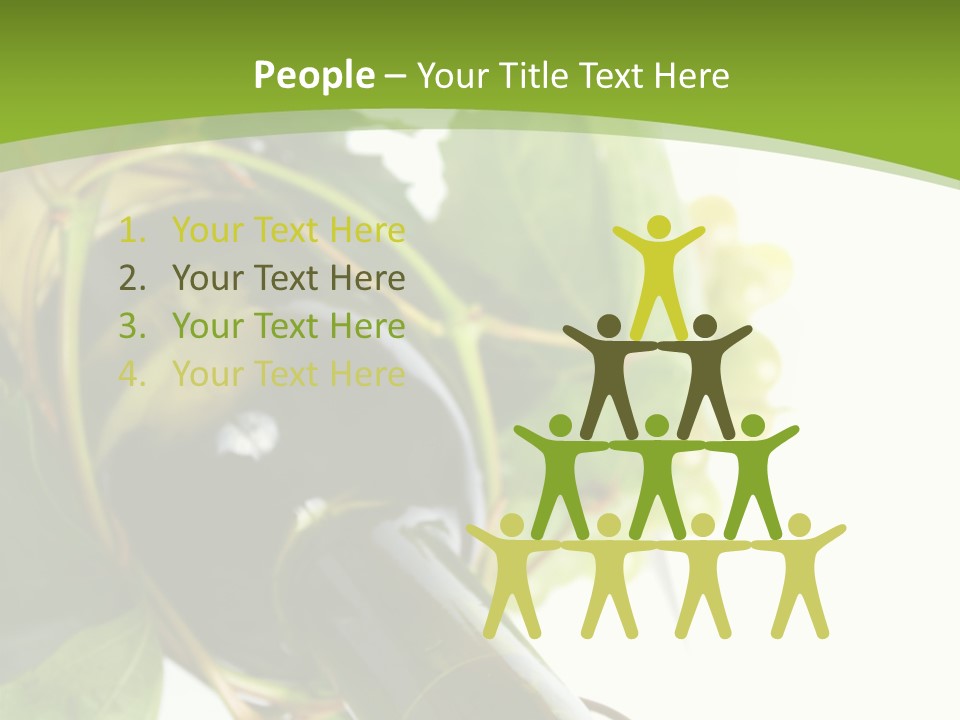 Spiral Grow Winery PowerPoint Template