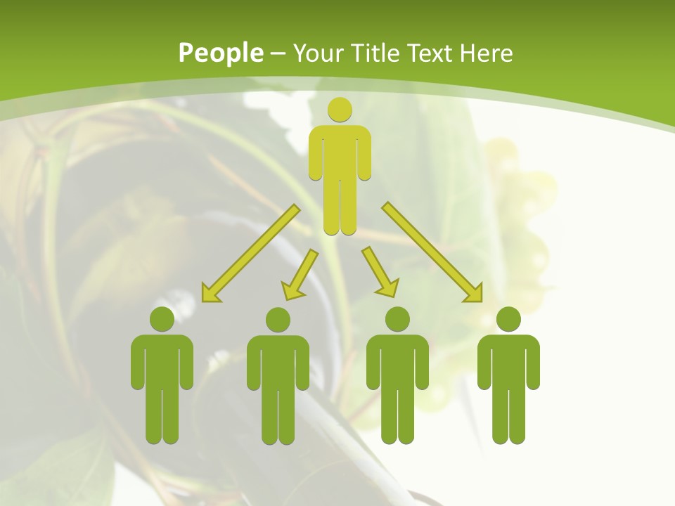 Spiral Grow Winery PowerPoint Template