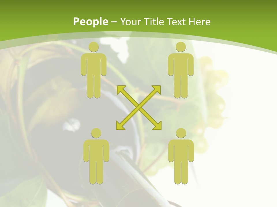 Spiral Grow Winery PowerPoint Template