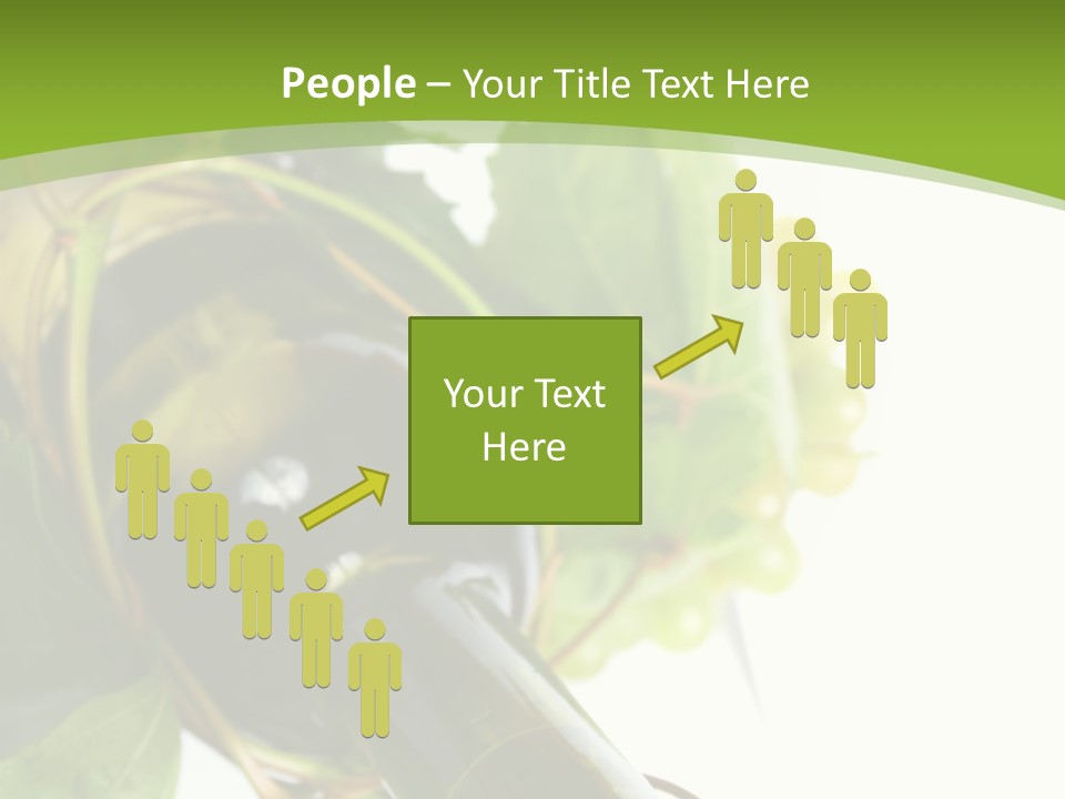 Spiral Grow Winery PowerPoint Template