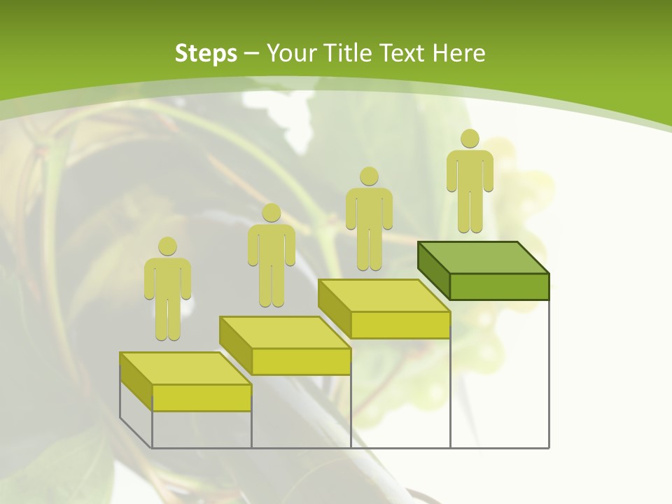 Spiral Grow Winery PowerPoint Template