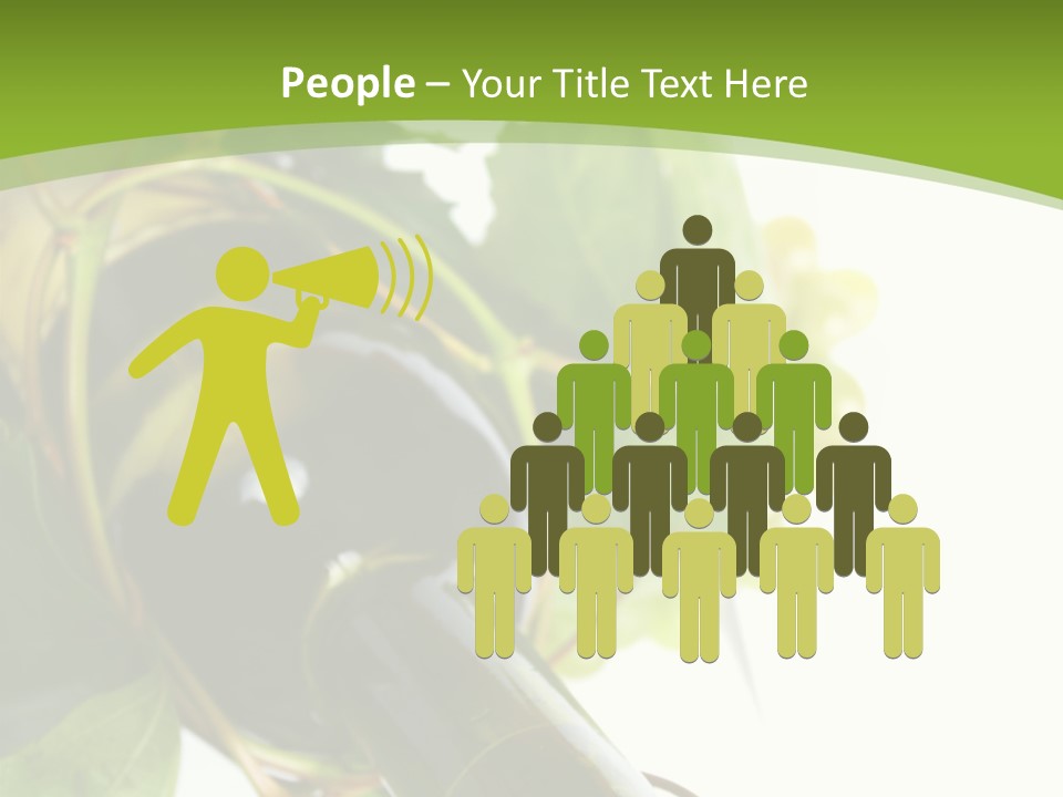 Spiral Grow Winery PowerPoint Template