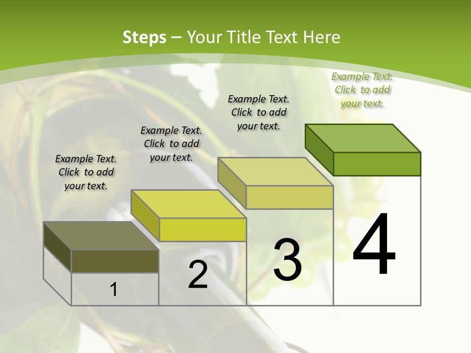 Spiral Grow Winery PowerPoint Template