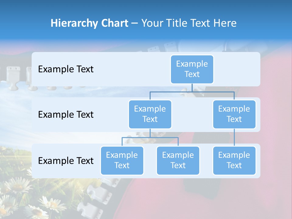 Sun Sunny Fresh PowerPoint Template