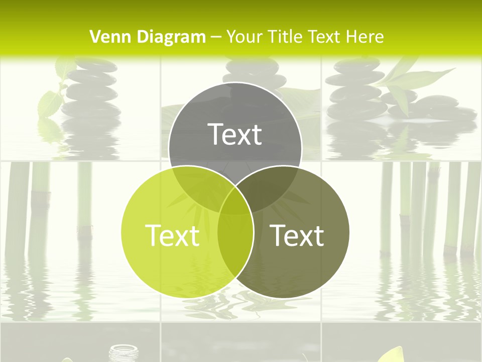 Treatment Oil Leaf PowerPoint Template