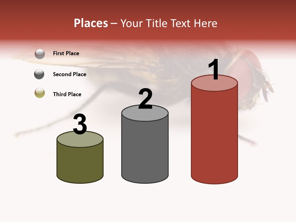 Closeup Wing Wild PowerPoint Template