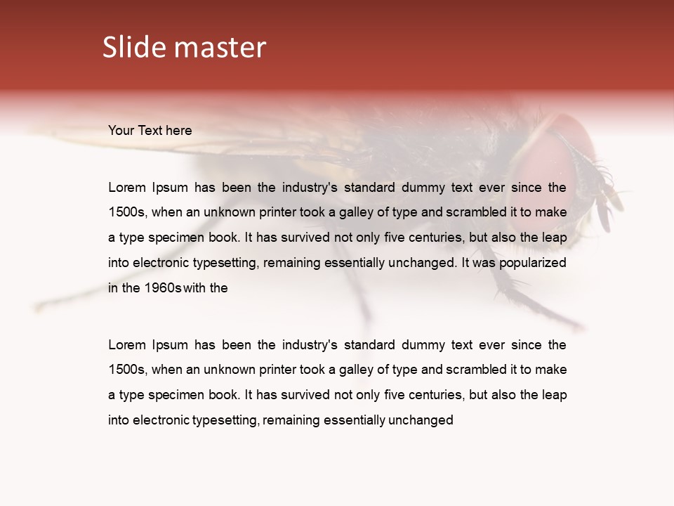 Closeup Wing Wild PowerPoint Template