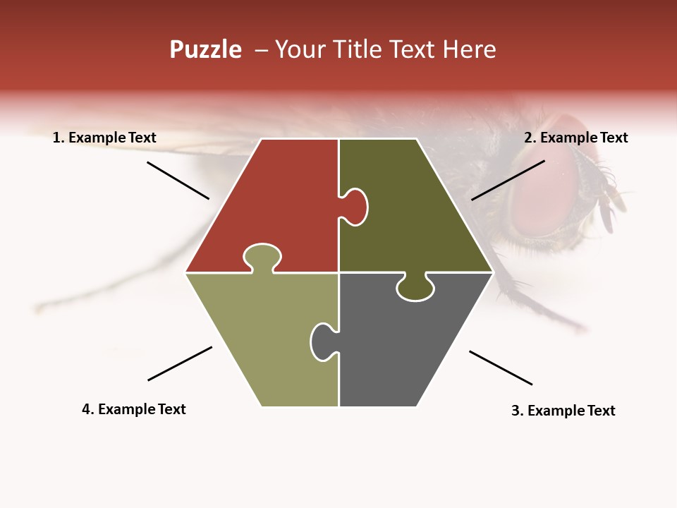 Closeup Wing Wild PowerPoint Template