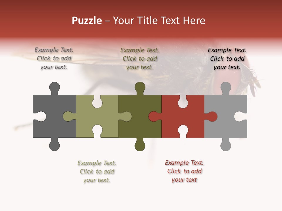 Closeup Wing Wild PowerPoint Template