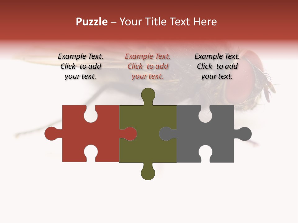 Closeup Wing Wild PowerPoint Template