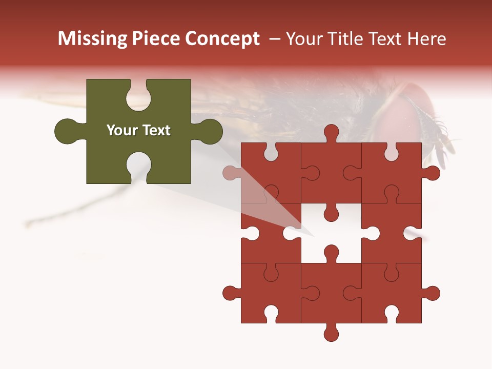 Closeup Wing Wild PowerPoint Template