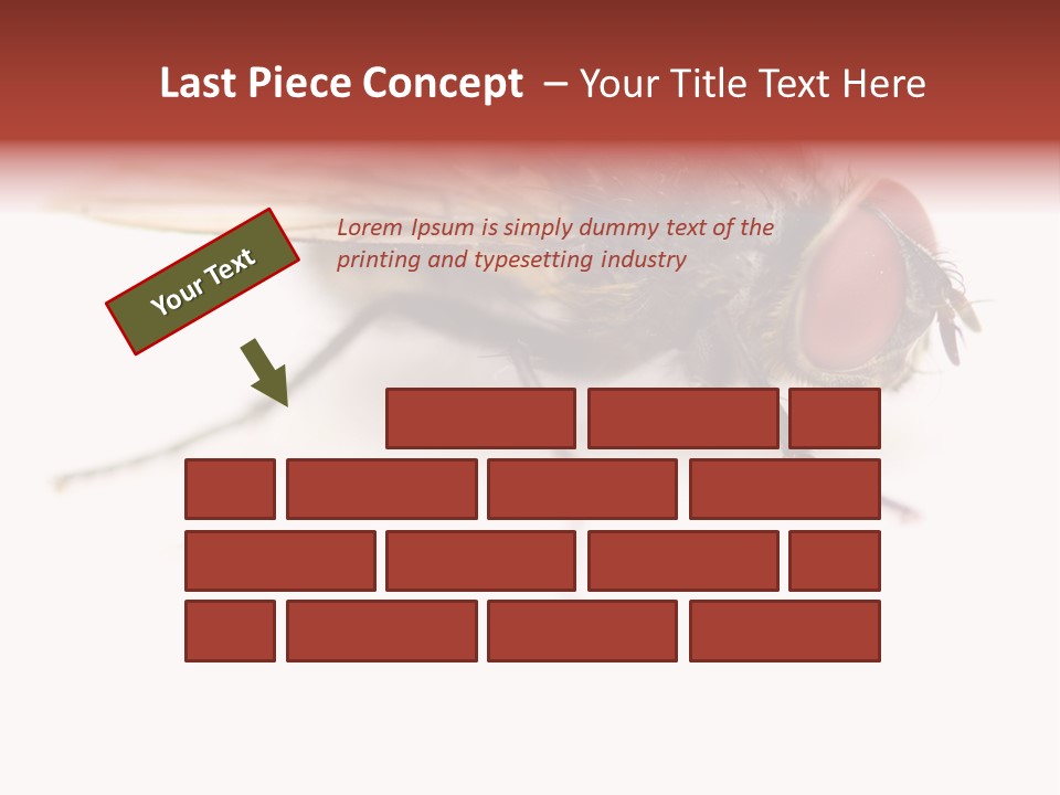 Closeup Wing Wild PowerPoint Template